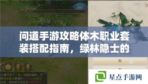 問道手游攻略體木職業(yè)套裝搭配指南，綠林隱士的生存藝術(shù)