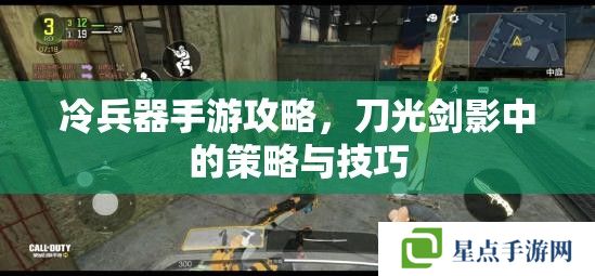 冷兵器手游攻略，刀光劍影中的策略與技巧