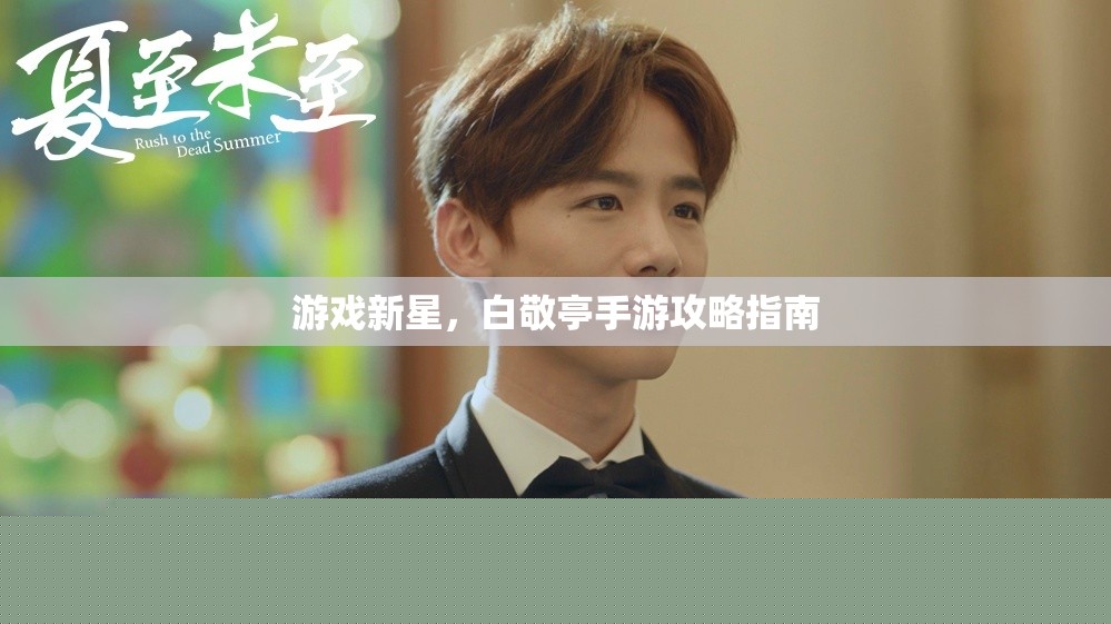 游戲新星，白敬亭手游攻略指南