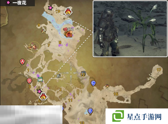 怪物獵人荒野一夜花的月華粉位置及獲取方法 一夜花的月華粉在哪