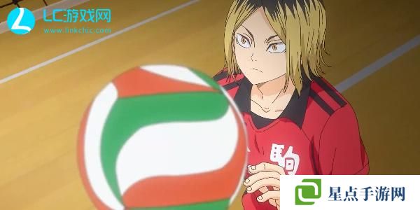 排球少年新的征程角色推薦